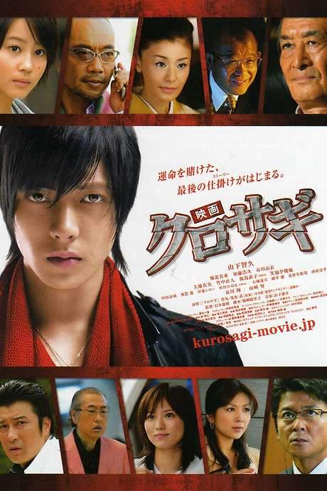 The Black Swindler (2008) movie poster