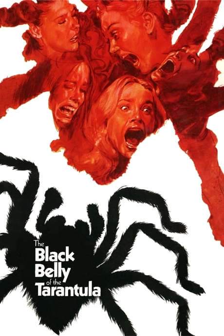 The Black Belly of the Tarantula (1971) movie poster