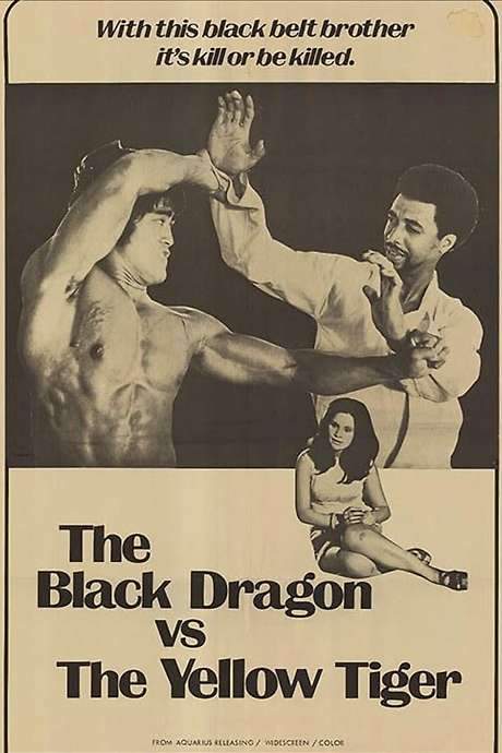 The Black Dragon vs. the Yellow Tiger (1974) movie poster