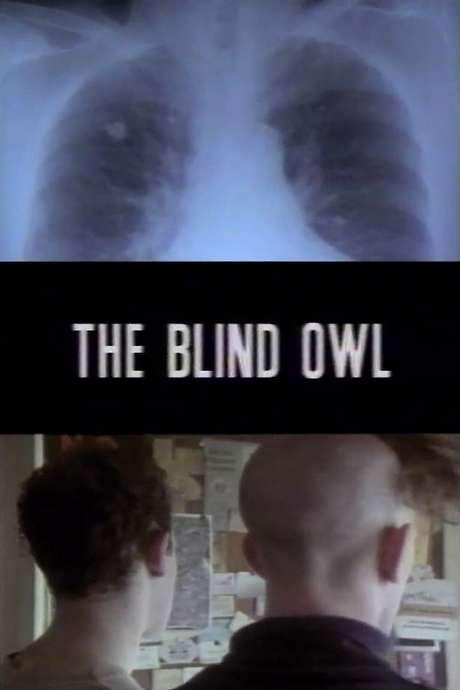 The Blind Owl (1992) movie poster