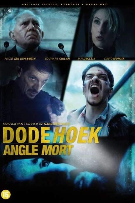 The Blind Spot (2017) movie poster