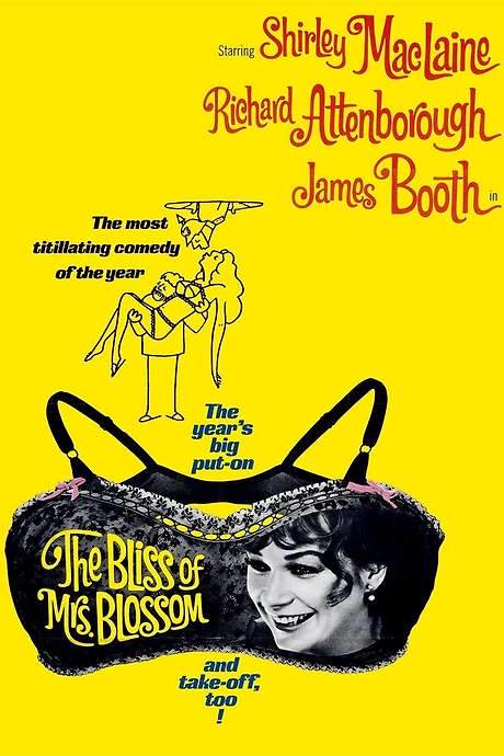The Bliss of Mrs. Blossom (1968) movie poster