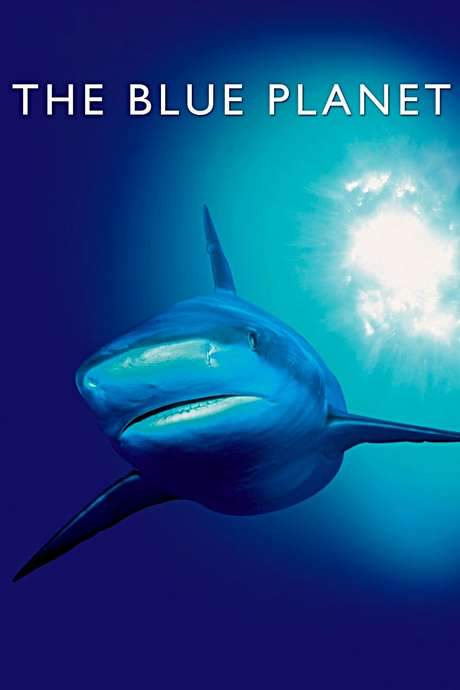 The Blue Planet (2001) movie poster