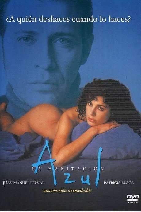 The Blue Room (2002) movie poster