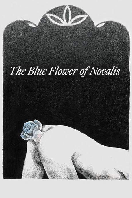The Blue Flower of Novalis (2018) movie poster