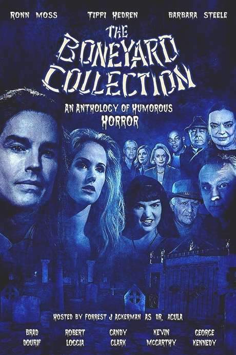 The Boneyard Collection (2008) movie poster
