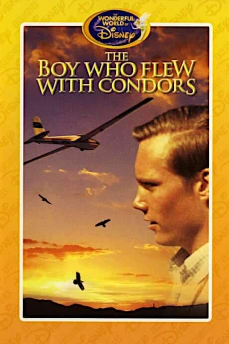 The Boy Who Flew with Condors (1967) movie poster