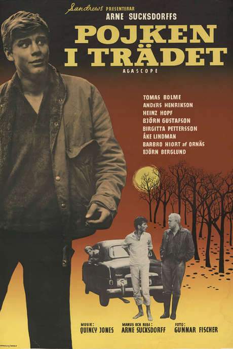 The Boy in the Tree (1961) movie poster