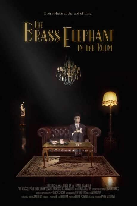 The Brass Elephant in the Room (2020) movie poster