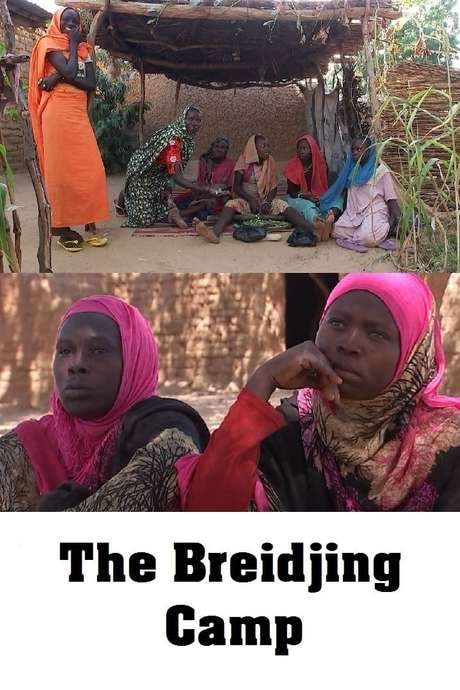 The Breidjing Camp (2015) movie poster
