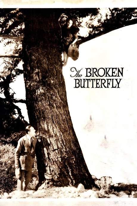 The Broken Butterfly (1919) movie poster