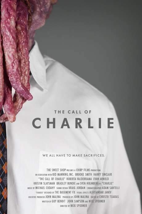 The Call of Charlie (2016) movie poster