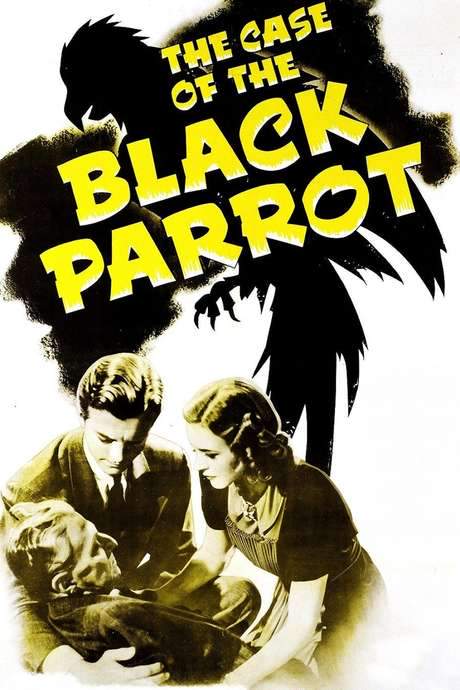 The Case of the Black Parrot (1941) movie poster