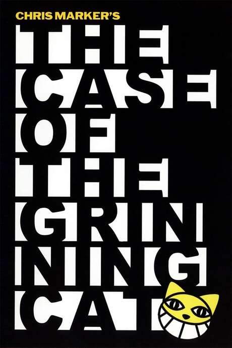 The Case of the Grinning Cat (2004) movie poster