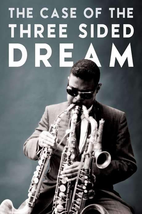 The Case of the Three Sided Dream (2014) movie poster