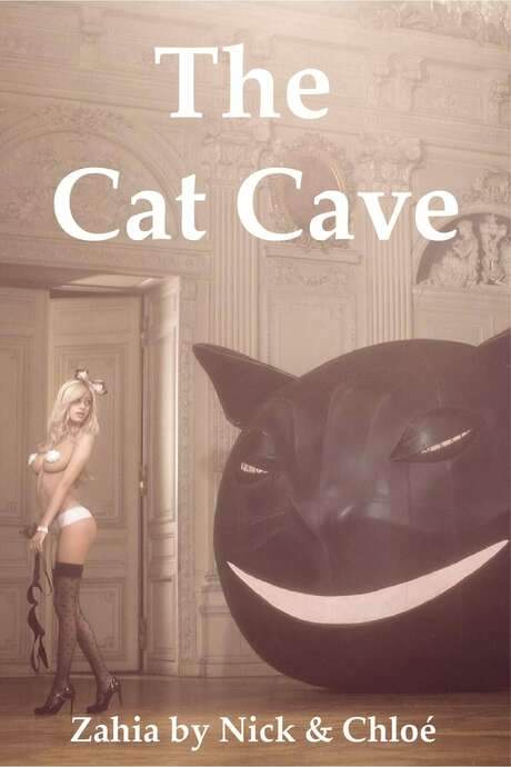 The Cat Cave (2011) movie poster