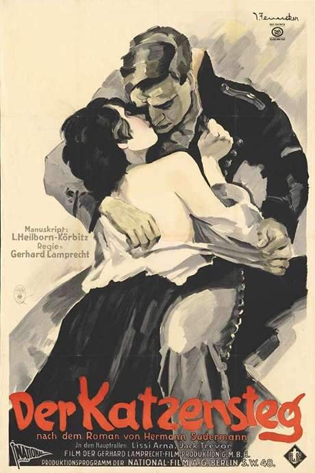 The Cat’s Bridge (1927) movie poster