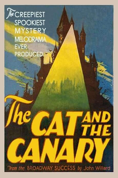 The Cat and the Canary (1927) movie poster