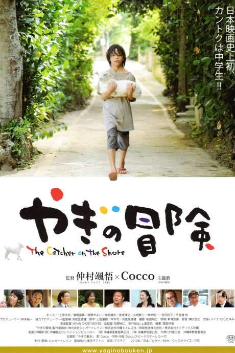 The Catcher On The Shore (2010) movie poster