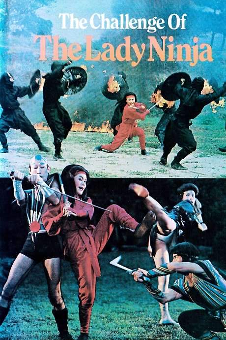 The Challenge of the Lady Ninja (1983) movie poster