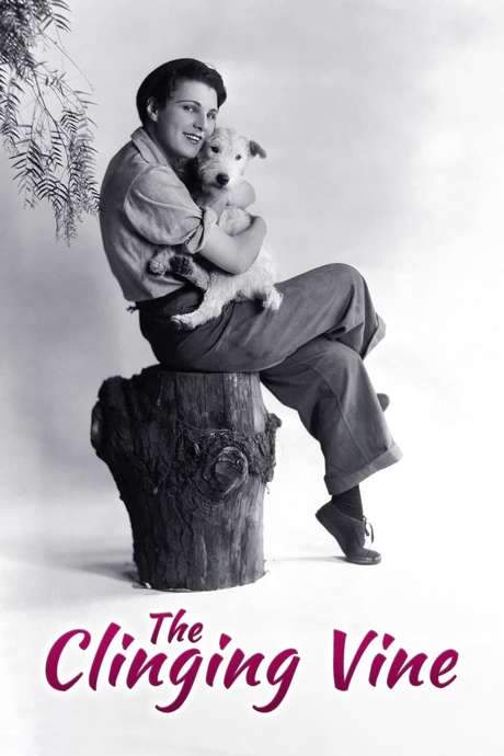 The Clinging Vine (1926) movie poster