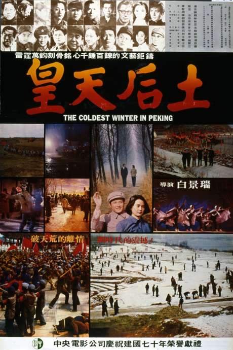 The Coldest Winter in Peking (1981) movie poster