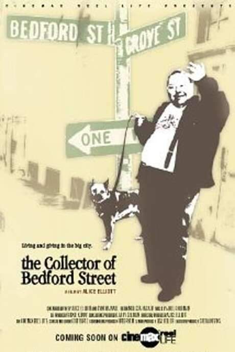 The Collector of Bedford Street (2002) movie poster