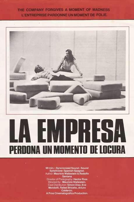 The Company Forgives a Moment of Madness (1978) movie poster