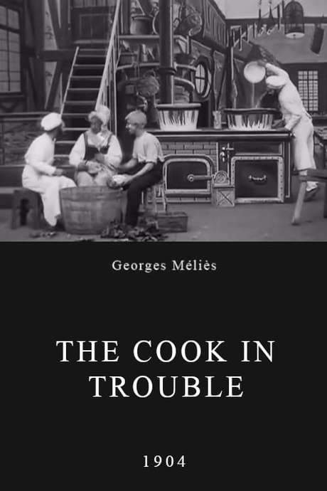 The Cook in Trouble (1904) movie poster