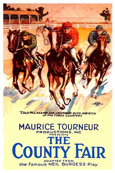 The County Fair (1920) movie poster