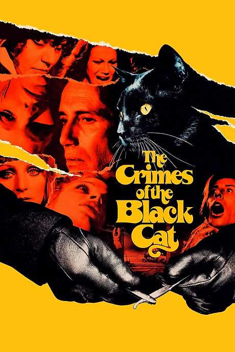 The Crimes of the Black Cat (1972) movie poster