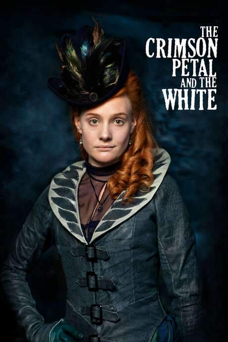 The Crimson Petal and the White (2011) movie poster