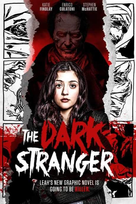 The Dark Stranger (2016) movie poster