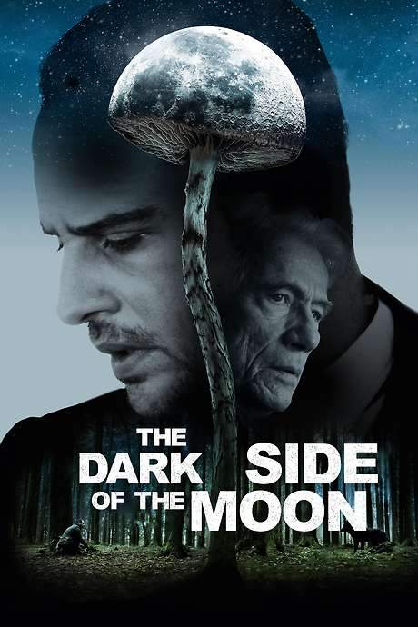 The Dark Side of the Moon (2015) movie poster