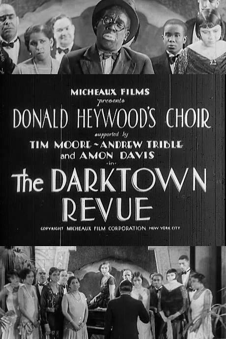 The Darktown Revue (1931) movie poster