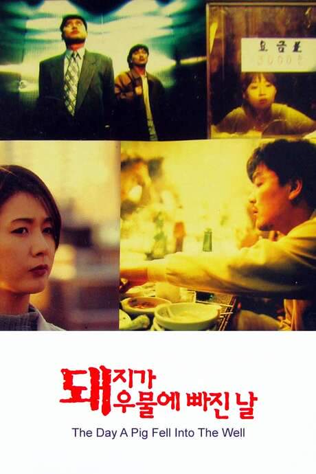 The Day a Pig Fell Into the Well (1996) movie poster