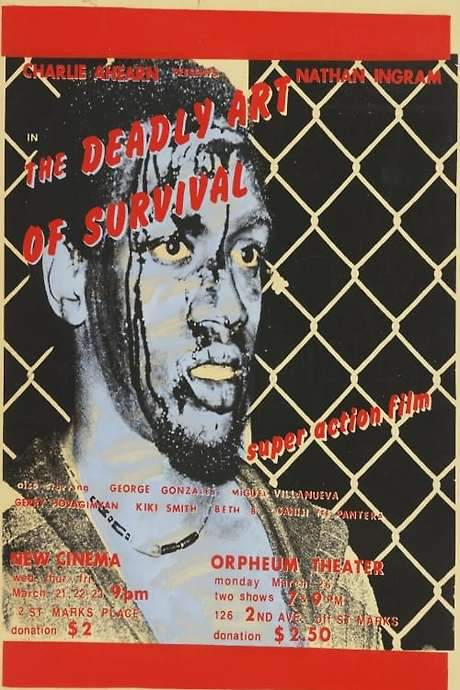 The Deadly Art of Survival (1979) movie poster