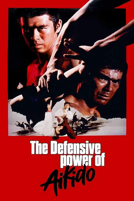 The Decisive Power of Aikido (1975) movie poster