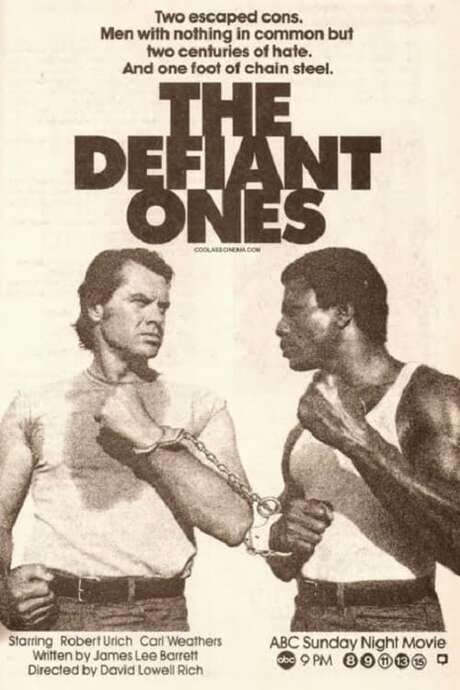 The Defiant Ones (1986) movie poster