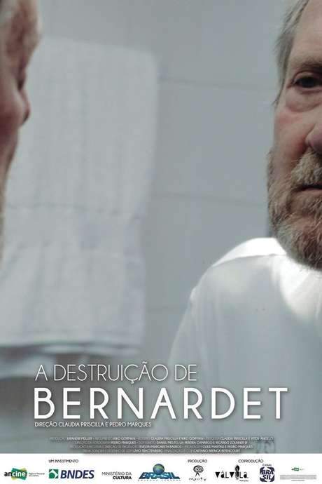 The Destruction of Bernardet (2016) movie poster