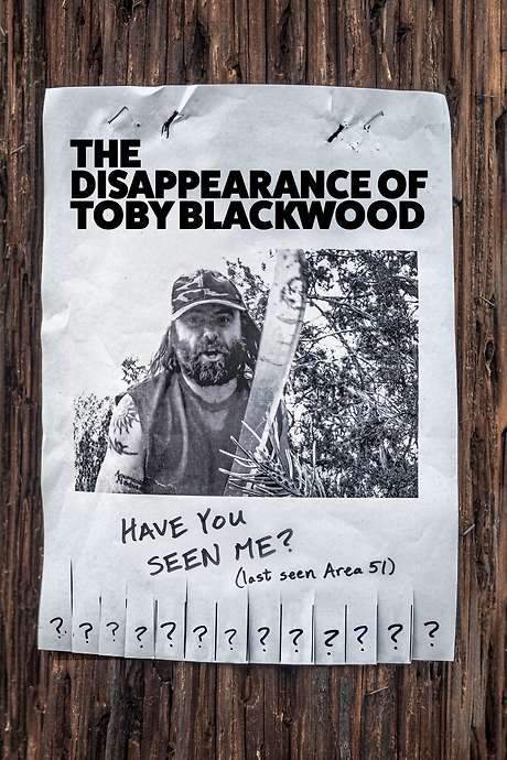 The Disappearance of Toby Blackwood (2021) movie poster