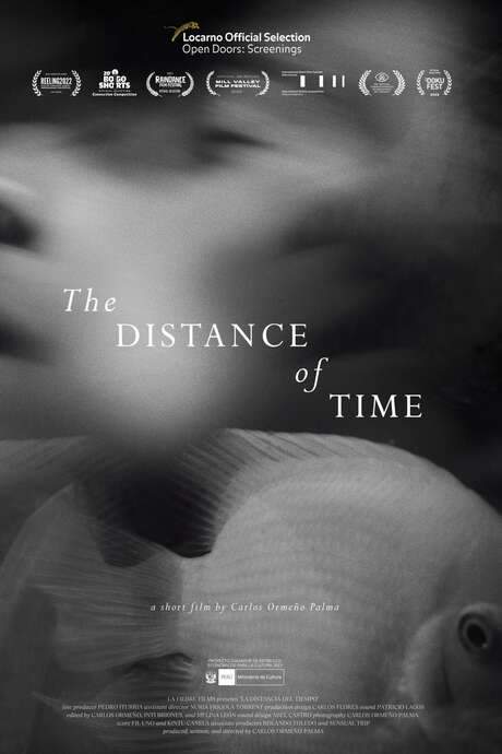 The Distance of Time (2021) movie poster