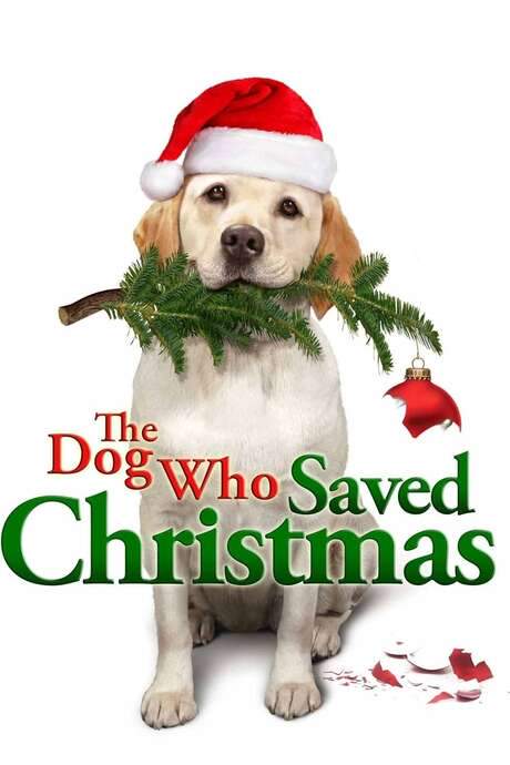 The Dog Who Saved Christmas (2009) movie poster