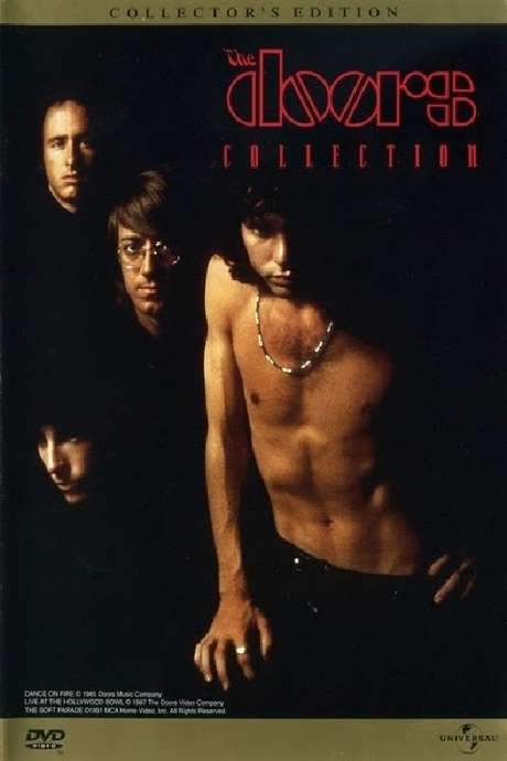 The Doors: Collection (1999) movie poster