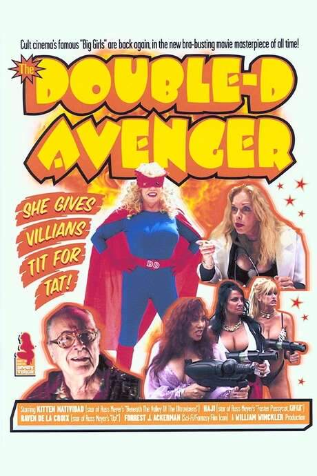 The Double-D Avenger (2001) movie poster
