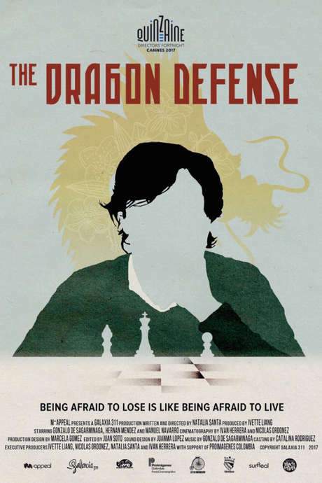 The Dragon Defense (2017) movie poster