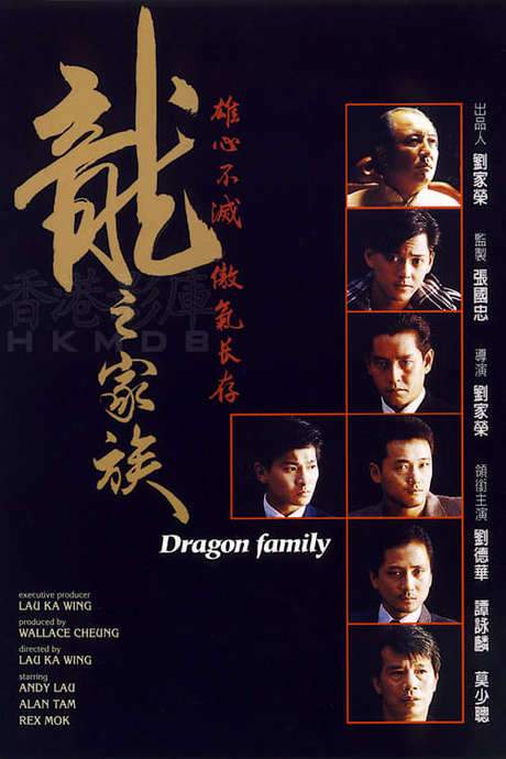 The Dragon Family (1988) movie poster