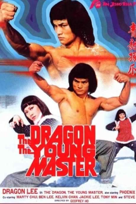 The Dragon, the Young Master (1978) movie poster