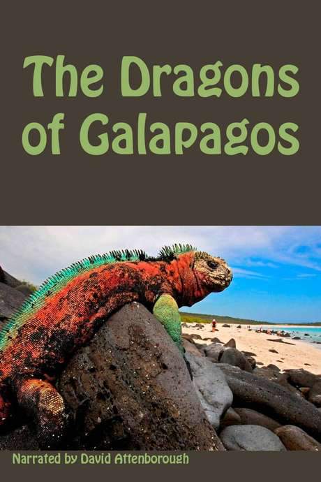 The Dragons of Galapagos (1998) movie poster