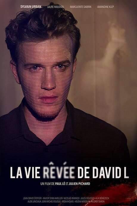 The Dreamlife of David L (2014) movie poster